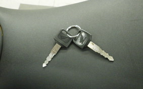 HONDA HORNET 250 2012 MC31