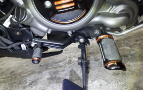 HARLEY RH975 2022