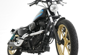 HARLEY XL1200NS 2019 LP3
