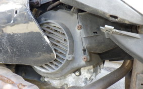 OTHER UNREGISTERED MODEL by BDS TRIKE250