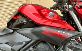 YAMAHA MT-25 RG10J