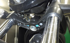 HARLEY RH975S 2024
