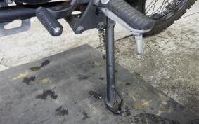 KAWASAKI W175 TR 2020