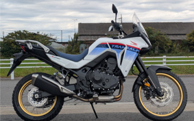 HONDA XL750 TRANSALP  2025 RD16