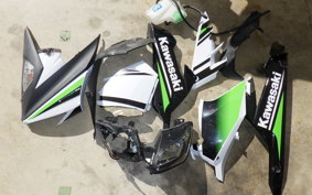 KAWASAKI NINJA 250 ABS 2021 EX250L