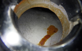 SUZUKI GSX1300R HAYABUSA 1999