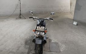 HONDA ZUMAR AF58