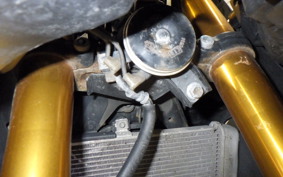YAMAHA YZF-R25 2019 RG43J