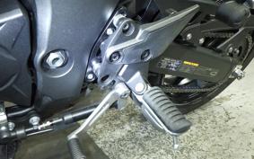 KAWASAKI NINJA 1100SX 2025 ZXT10H