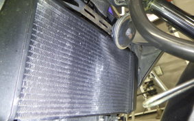 KAWASAKI Z250 2009 ER250C