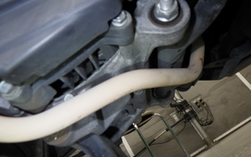 HONDA ﾀﾞﾝｸ 2010 AF78