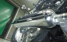 KAWASAKI W800 2025 EJ800E