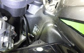 KAWASAKI NINJA ZX-6R A 2024 ZX636J