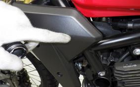 FANTIC SCRAMBLER700 2024