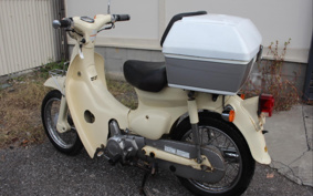 HONDA LITTLE CUB C50
