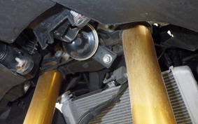 YAMAHA YZF-R25 A RG43J