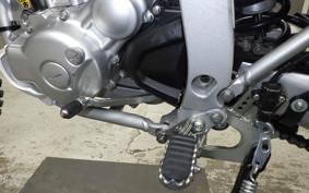 YAMAHA WR250R 2019 DG15J