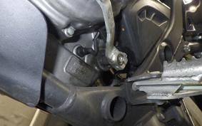 HONDA CRF250 RALLY LD