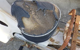 HONDA C100 SUPER CUB 1999 C100