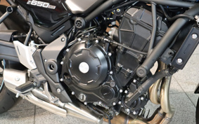 KAWASAKI Z650 RS 2024 ER650M
