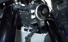 YAMAHA YZF-R25 A 2009 RG43J