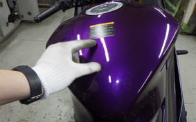 YAMAHA YZF R-3 2025 RH21J