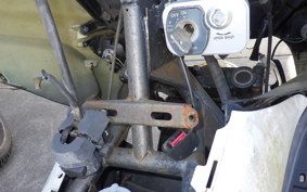 OTHER UNREGISTERED MODEL by BDS TRIKE250