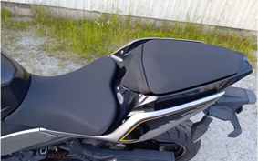 KAWASAKI NINJA 250 EX250P
