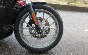 HARLEY HARLEY RH975S NIGHT  STAR 2023 ZF1