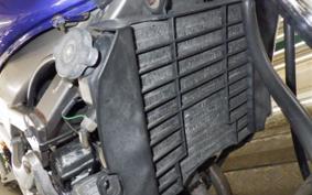 YAMAHA ZEAL 3YX