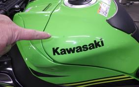 KAWASAKI ZX 10 NINJA R 2019 ZXT02E
