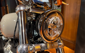HARLEY FXST1340-1450 2024 BVJ
