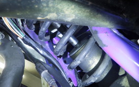 YAMAHA DT50 2024 17W