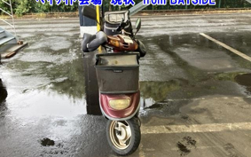 OTHER  JOG  POCHE -2