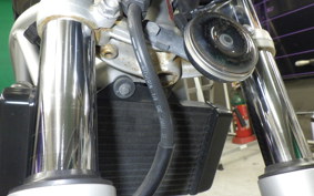 HONDA VTR 250 Gen. 2 2023 MC33