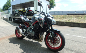 KAWASAKI Z900 2019 ZR900B