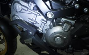 SUZUKI Vｽﾄﾛｰﾑ650XTA 2023 C733M