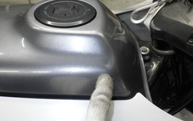 HONDA VT250FG 2008 MC15