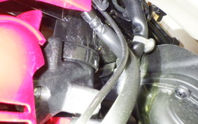 HONDA C110 SUPER CUB JA59