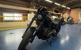 HARLEY FXLRS 2023 YWZ