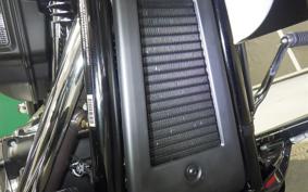 HARLEY FLFB1920 2025