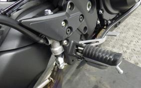KAWASAKI NINJA 1000SX 2024 ZXT02K