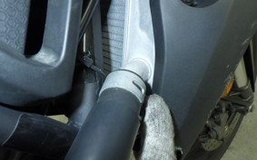 YAMAHA MT-25 A RG43J