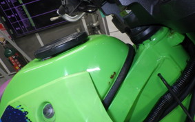 KAWASAKI KLX250 Gen.2 2023 LX250S