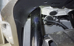 KAWASAKI NINJA ZX-6R A 2025 ZX636J