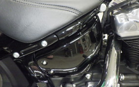 HARLEY FXST1750 2025