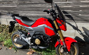 HONDA GROM JC75
