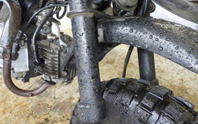 HONDA GORILLA50 Z50J