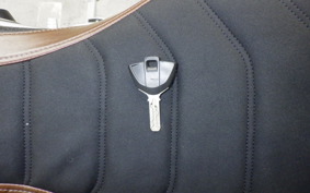 BMW R NINE T PURE 2021