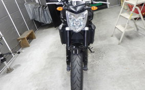 YAMAHA FZ1 FAZER 2013 RN21J